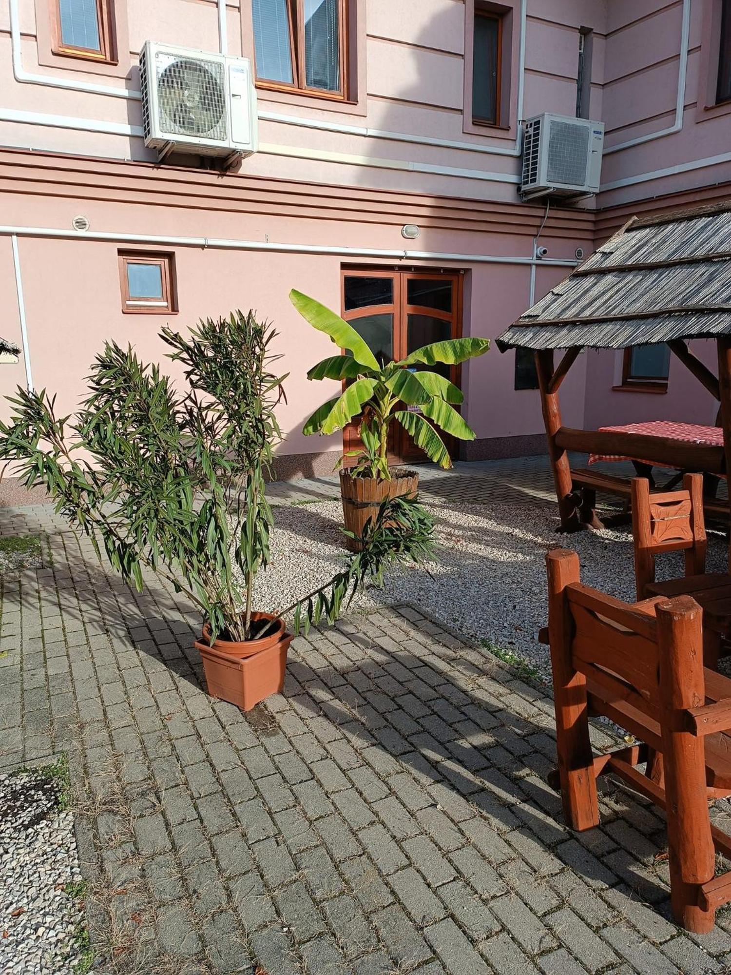 Bed and Breakfast Malom Panzio Кишкунфеледьхаза Экстерьер фото